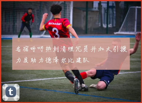 名宿呼吁热刺清理冗员并加大引援力度助力德泽尔比建队